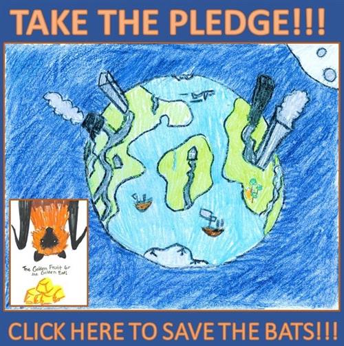 pledge button